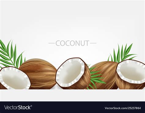Coconut Template